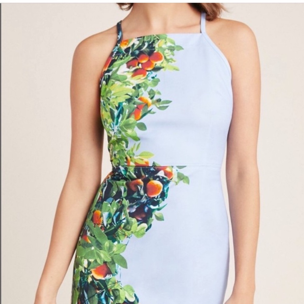 ANTHROPOLOGIE Brand MAEVE‎ Orange Bough Dress